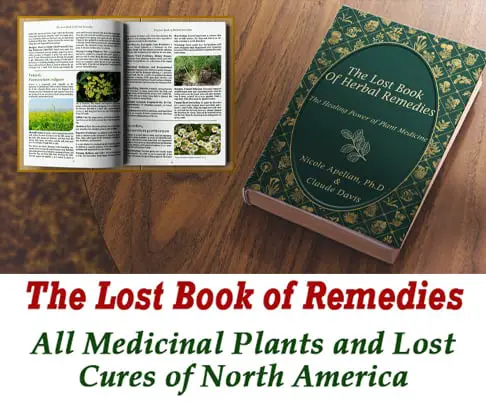 book of remedies 1