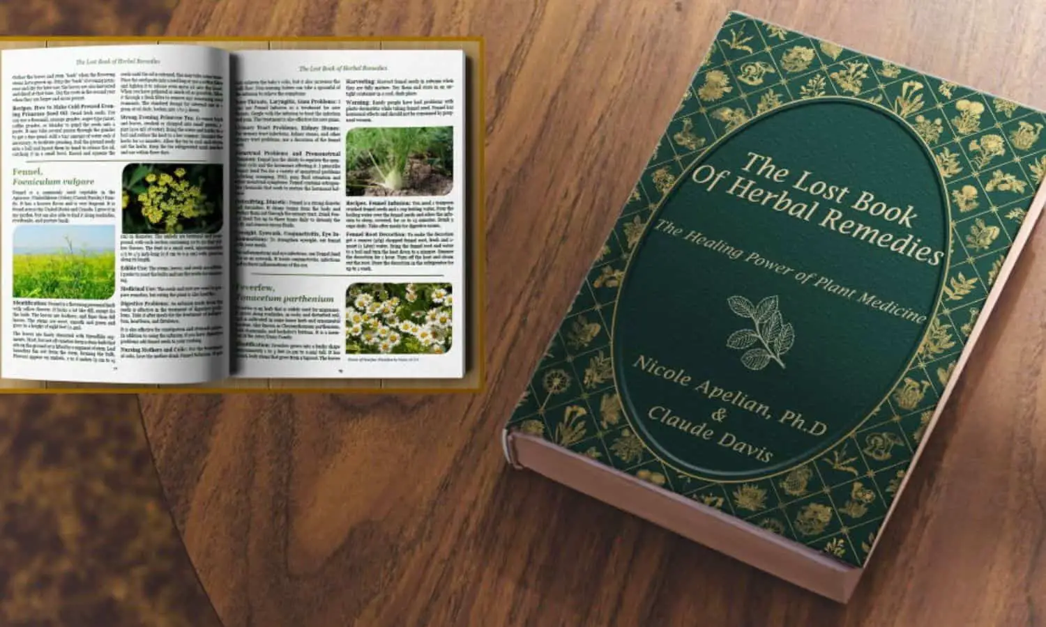 the lost book of herbal remedies pdf free download